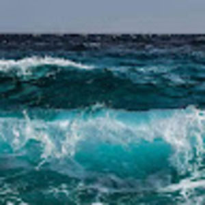 Meet your Posher, Dakota